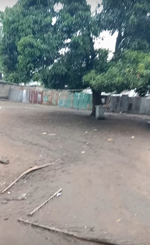 Buy Acres of Land for Sale along Iju Road Agege Lagos image